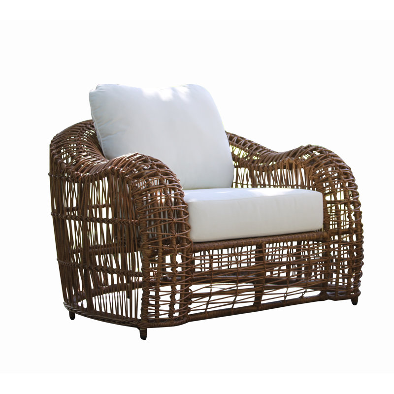Alyshia "on The Vine" Patio Chair with Cushions Joss & Main